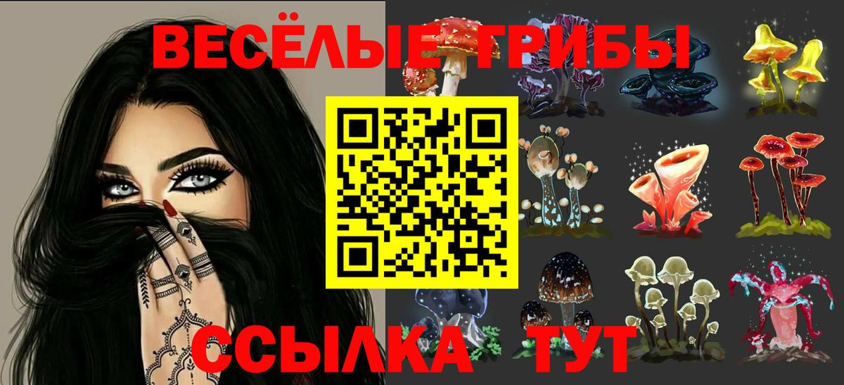 где найти   Вход с VPN  Галлюциногенные грибы Cubensis  Добрянка  Псилоцибиновые грибы Psilocybine cubensis 