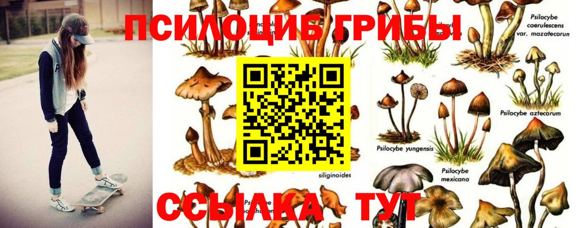 Галлюциногенные грибы Magic Shrooms Добрянка